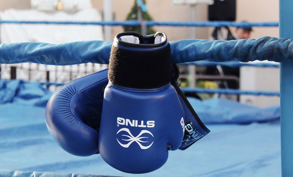 PurpleJelly Virtual IT Director Service