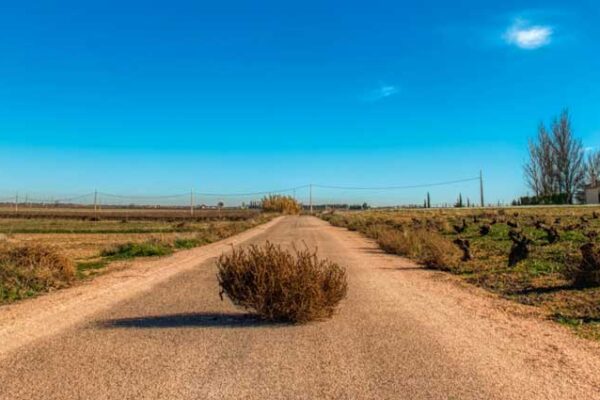 Password Managers Forgotten