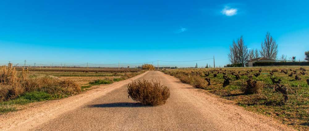 Password Managers Forgotten