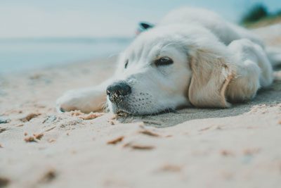 Let business and IT software do the hard work