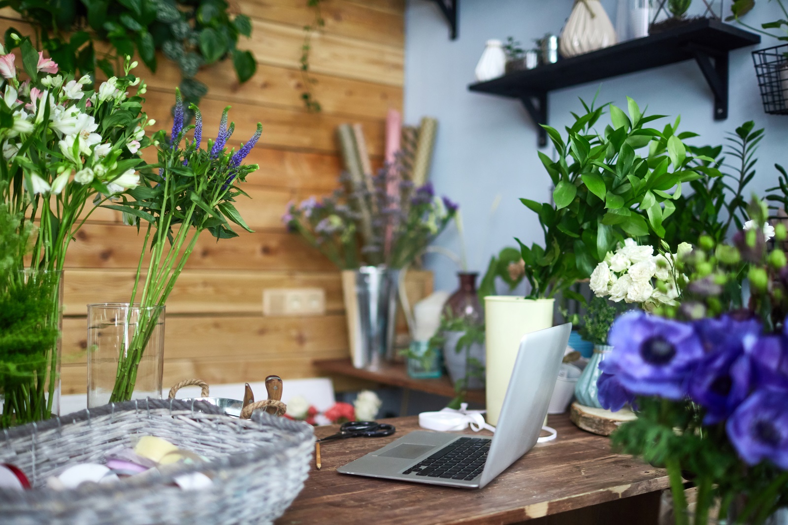 The interior of a flower shop, an example of an SME in Aldershot